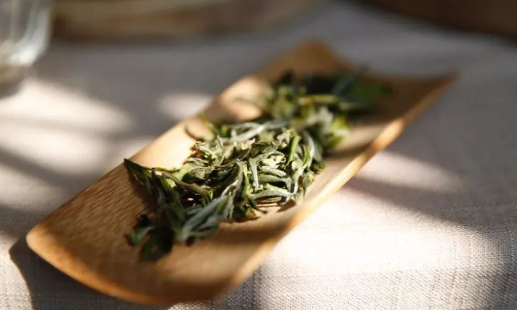 云南绿茶有哪些品种