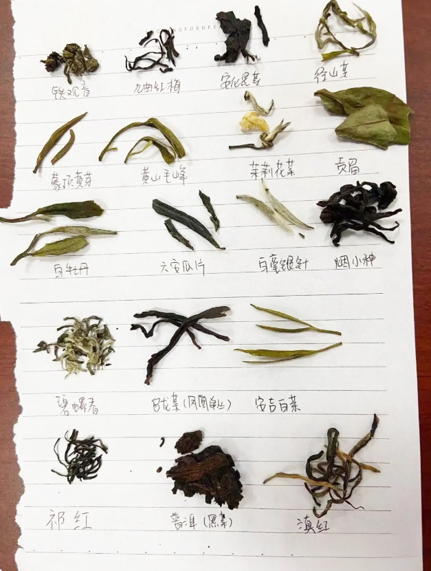 茶叶品种外形图对比，含18种茶叶