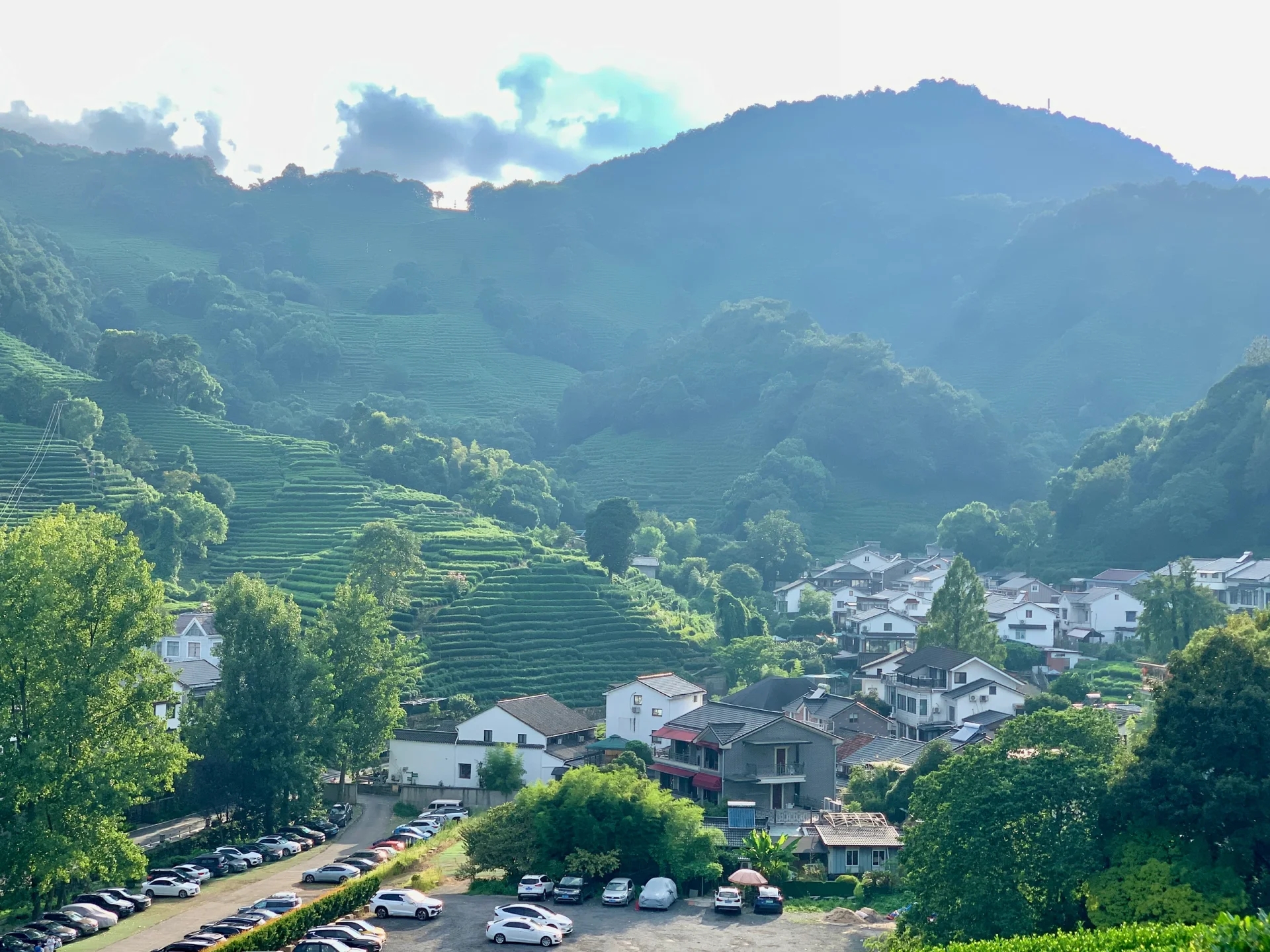 龙井村 | 满眼的绿意茶色，空气里都是茶的香芬