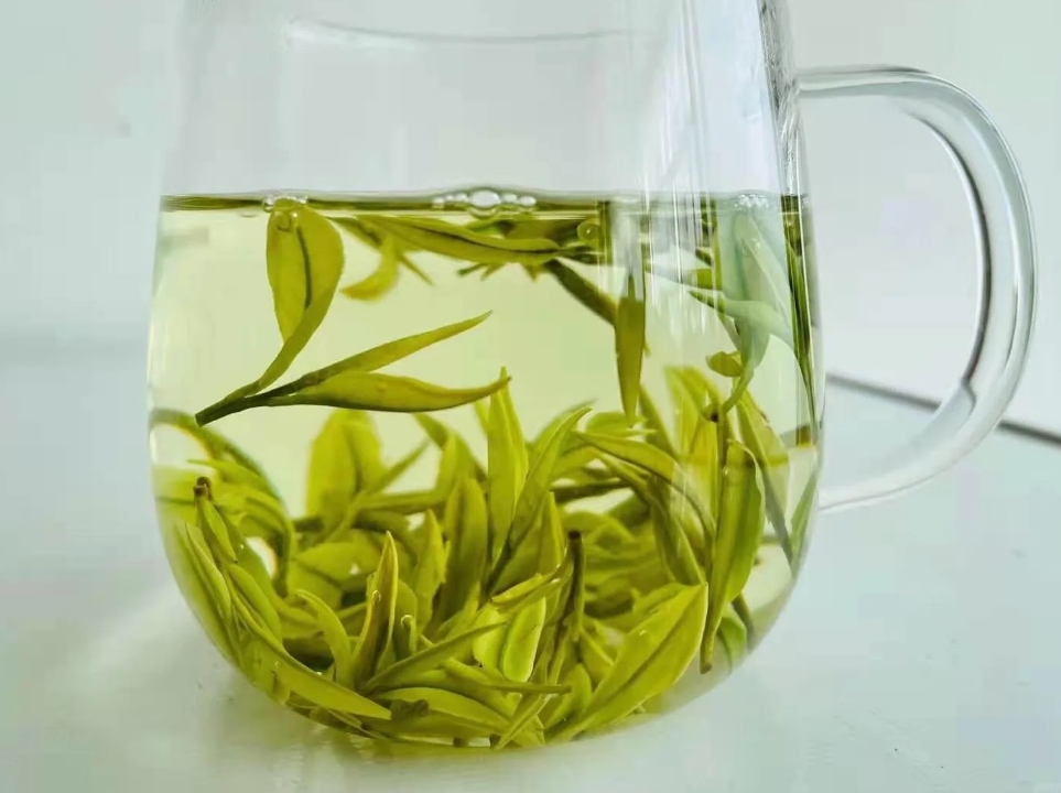溧阳白茶属于什么茶